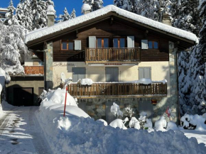 APPARTEMENT DE CHARME EN ATTIQUE dans UN PETIT CHALET